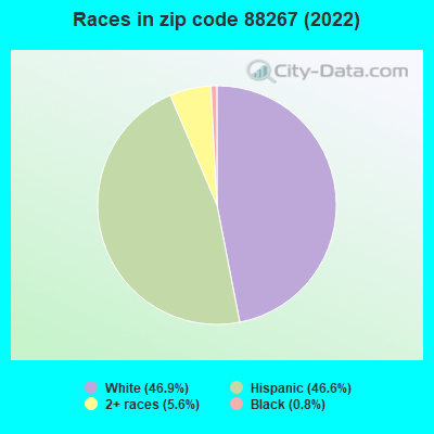 Races in zip code 88267 (2022)