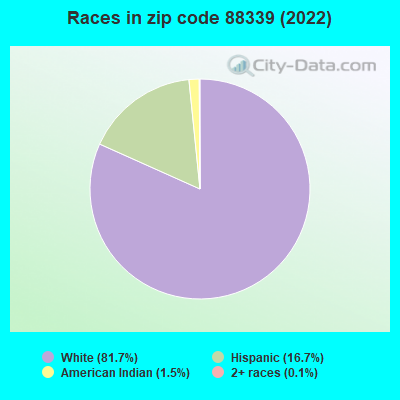 Races in zip code 88339 (2022)