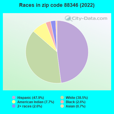 Races in zip code 88346 (2022)