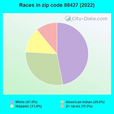 Races in zip code 88427 (2022)