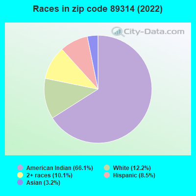 Races in zip code 89314 (2022)