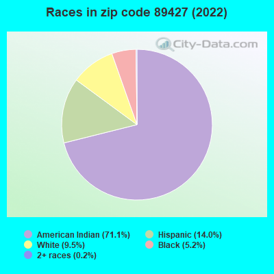 Races in zip code 89427 (2022)