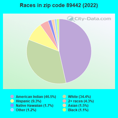 Races in zip code 89442 (2022)