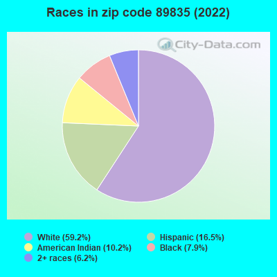 Races in zip code 89835 (2022)