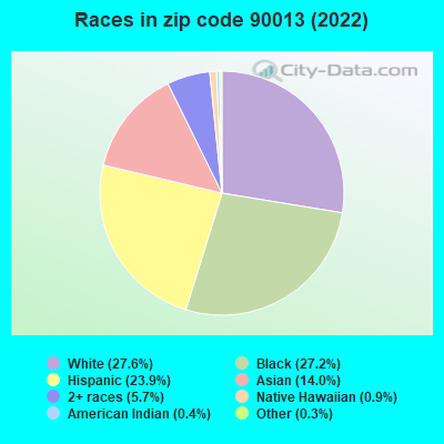 Races in zip code 90013 (2022)