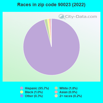 Races in zip code 90023 (2022)