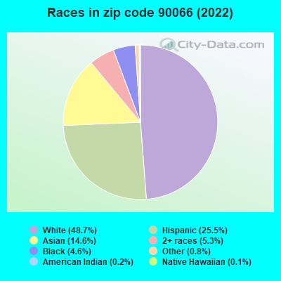 Races in zip code 90066 (2022)