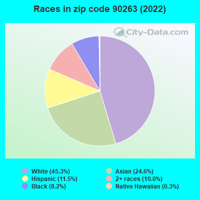 Races in zip code 90263 (2022)