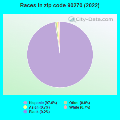 Races in zip code 90270 (2022)