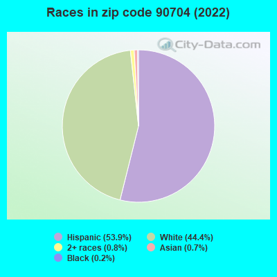 Races in zip code 90704 (2022)