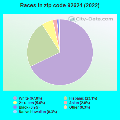 Races in zip code 92624 (2022)