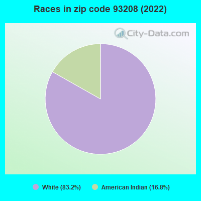 Races in zip code 93208 (2022)