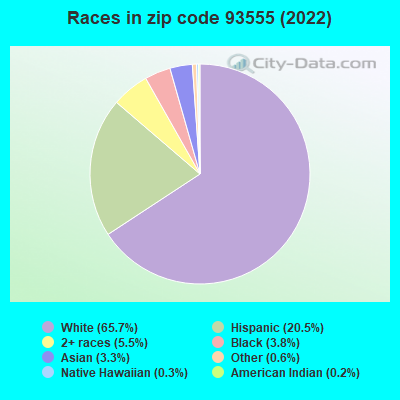 Races in zip code 93555 (2022)