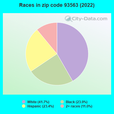 Races in zip code 93563 (2022)