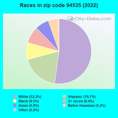 Races in zip code 94535 (2022)