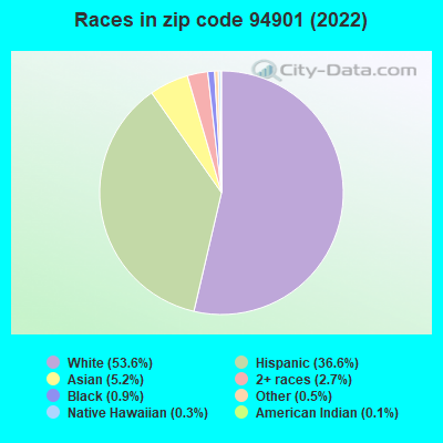 Races in zip code 94901 (2022)