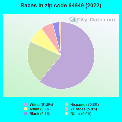 Races in zip code 94949 (2022)