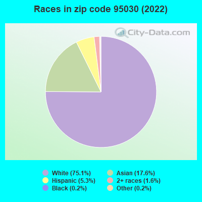 Races in zip code 95030 (2022)