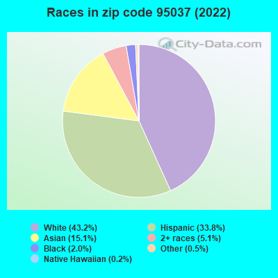 Races in zip code 95037 (2022)