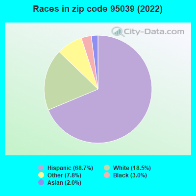 Races in zip code 95039 (2022)