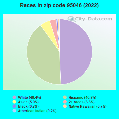 Races in zip code 95046 (2022)