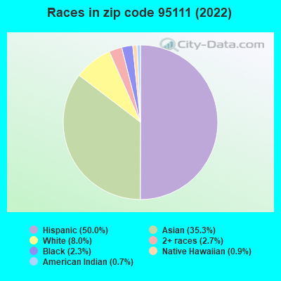 Races in zip code 95111 (2022)