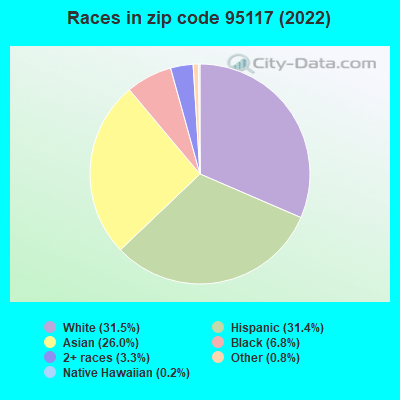 Races in zip code 95117 (2022)