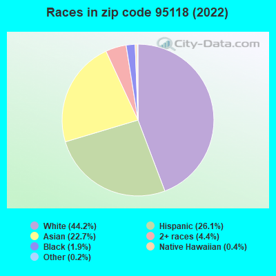 Races in zip code 95118 (2022)