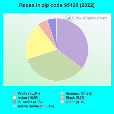 Races in zip code 95126 (2022)