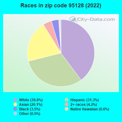 Races in zip code 95128 (2022)