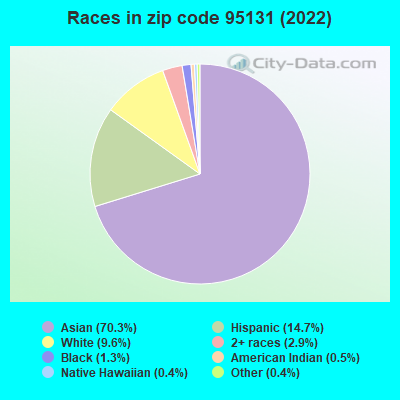 Races in zip code 95131 (2022)