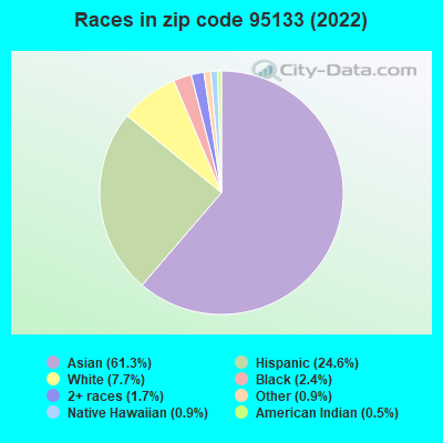 Races in zip code 95133 (2022)