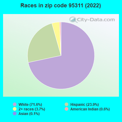 Races in zip code 95311 (2022)