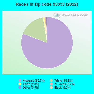 Races in zip code 95333 (2022)