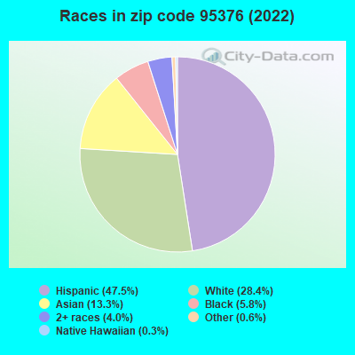 Races in zip code 95376 (2022)