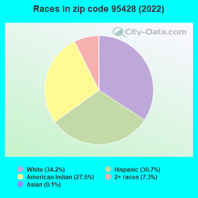 Races in zip code 95428 (2022)