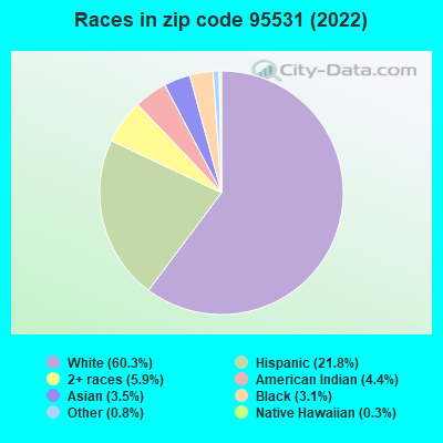Races in zip code 95531 (2022)