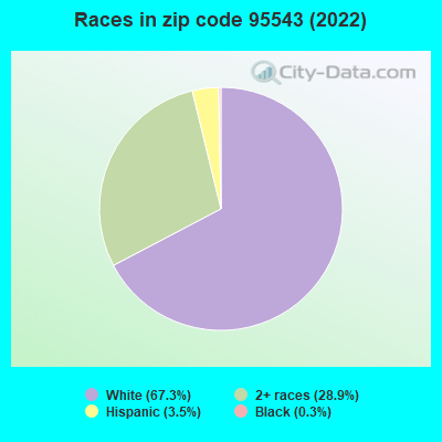 Races in zip code 95543 (2022)