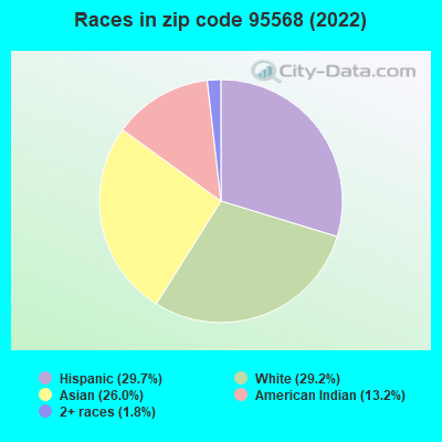Races in zip code 95568 (2022)