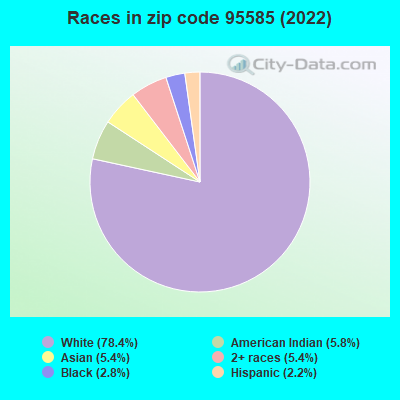 Races in zip code 95585 (2022)