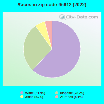 Races in zip code 95612 (2022)