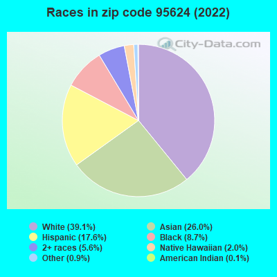 Races in zip code 95624 (2022)