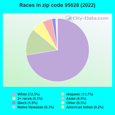 Races in zip code 95628 (2022)