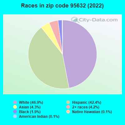 Races in zip code 95632 (2022)