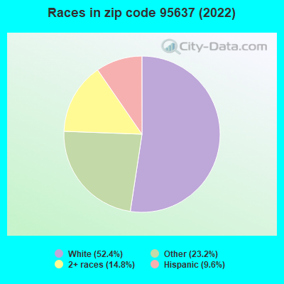 Races in zip code 95637 (2022)