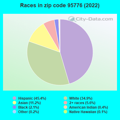 Races in zip code 95776 (2022)