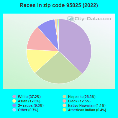 Races in zip code 95825 (2022)