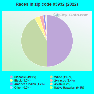 Races in zip code 95932 (2022)