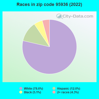 Races in zip code 95936 (2022)