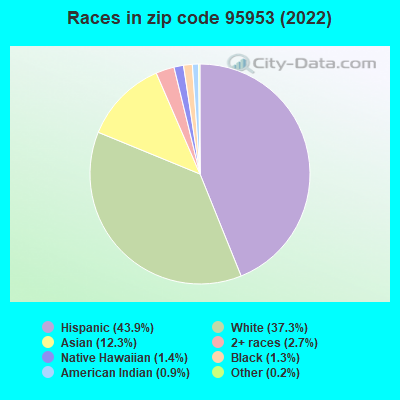 Races in zip code 95953 (2022)